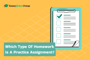 What Types of Homework Assignments Are Commonly Given to Students for Practice?